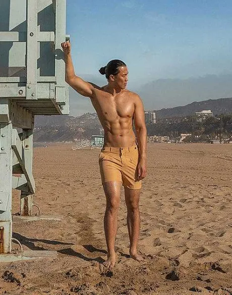 Cheap S80 Avalon Shorts-Beige Beach Shorts