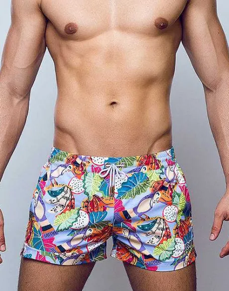 Cheap S50 Print Swimshorts-Aves Purple Beach Shorts