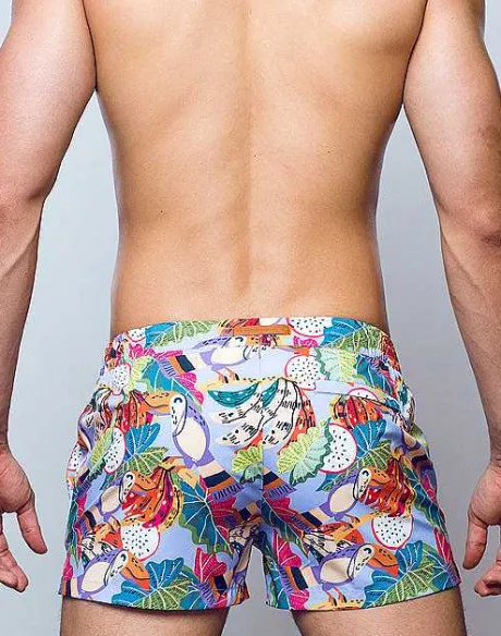 Cheap S50 Print Swimshorts-Aves Purple Beach Shorts