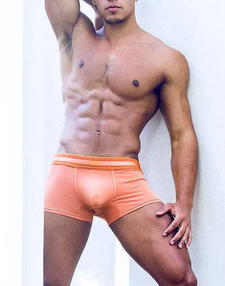 New U31 Adonis Trunk Underwear - Tan Trunks