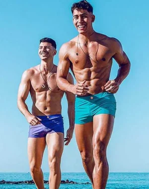Cheap V60 Bondi (Series 2) Swim Trunks-Dusted Purple Swimwear