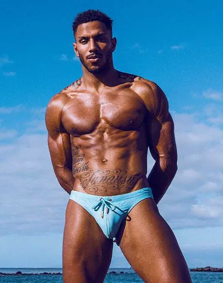 Store V20 Print Swim Brief-Nautica Green Swimwear